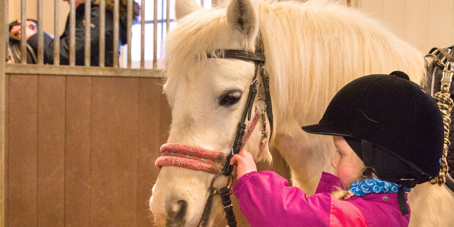 First horse ride for toddlers